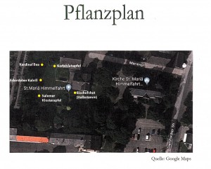 Pflanzplan - Detail